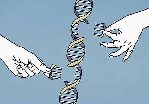 The Human Genome Project pieced together only 92% of the DNA — now scientists have finally filled in the remaining 8%