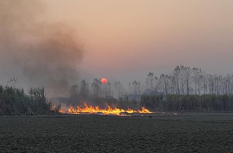 Almost entire global population breathes unhealthy air: WHO