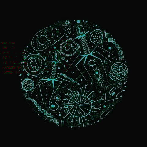 Researchers identified over 5,500 new viruses in the ocean, including a missing link in viral evolution