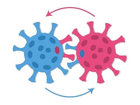 An illustration showing recombination of two viruses. Photo: iStock