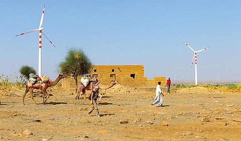 Windmills and solar plants have become a part of the Jaisalmer landscape threatening the natural habitat of the great Indian bustard along with other bird and animal species (Photograph: Radheshyam Vishnoi)
