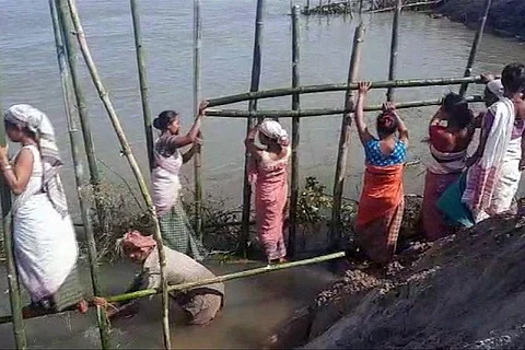 फोटो: असम के माजुली में अपनी जीविका को बचाने के लिए जद्दोजहद करती पेगू और गांव की अन्य महिलाएं