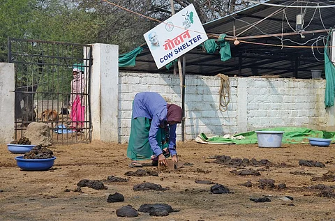 छत्तीसगढ़ के रायपुर में फुंडहर स्थित गोठान में गोबर बटोरने का काम करती स्वयं सहायता समूह की सदस्य (फोटो : सीएसई)