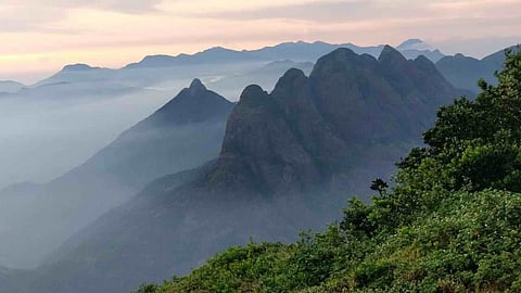 The Western Ghats Landscape in SMTR. Photo: Shekhar Niraj