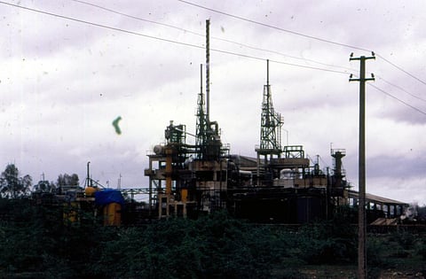 Course correction: Experts point out gaps in Post-2020 Global Biodiversity Framework