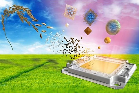 फोटो: जर्नल एसीएस सस्टेनेबल केमिस्ट्री एंड इंजीनियरिंग