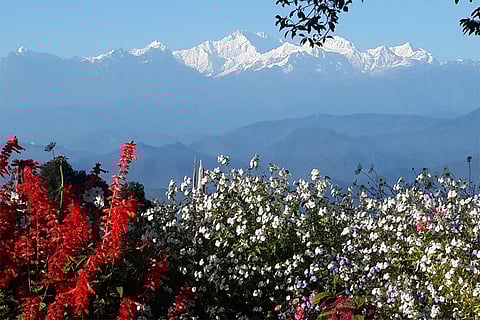 फोटो: वन अर्थ फाउंडेशन