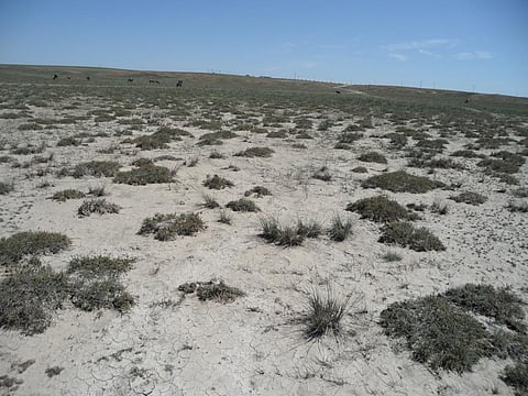 Land the size of South America will be degraded if current trends continue: UN Report