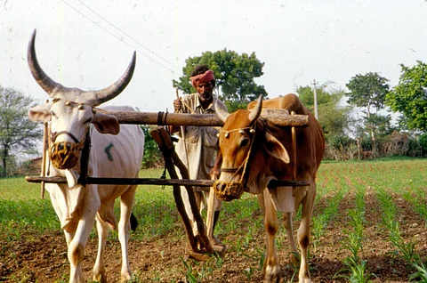 मॉनसून 2023: भारत में औसत से कम होगी बारिश, उत्तराखंड और मध्यप्रदेश होंगे सबसे ज्यादा प्रभावित