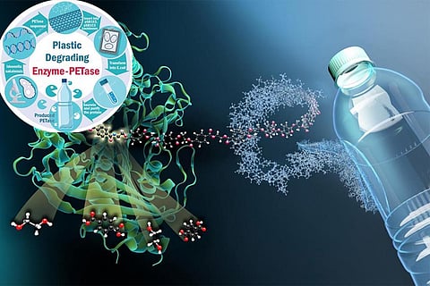 वैज्ञानिकों ने बनाया ऐसा एंजाइम वेरिएंट, जो प्लास्टिक को कर देगा नष्ट