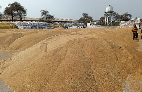 मध्य प्रदेश की सिवनी मालवा मंडी में रखा गेहूं। फोटो: राकेश कुमार मालवीय