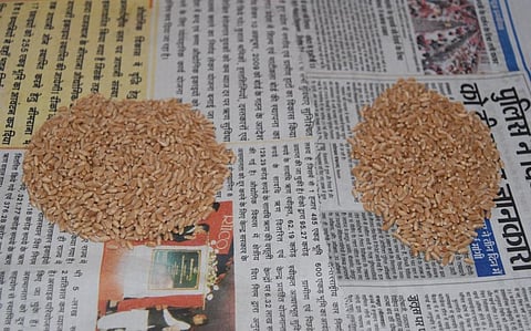 Photo: Ravleen Kaur / CSE