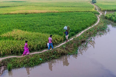 Why Bihar needs climate-smart agricultural practices
