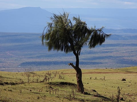 Kenya’s environmental regulator ready to reconsider EIA processing fees due to financial crunch