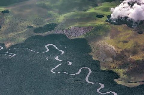 Literature from the Congo Basin offers ways to address the climate crisis