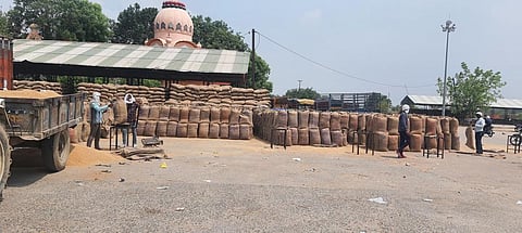 Workers in Dabra Mandi, Gwalior district. Photo: Shagun / CSE