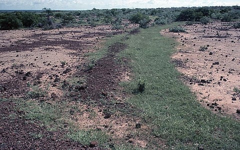 Degraded land in Burkina Faso. Photo: iStock