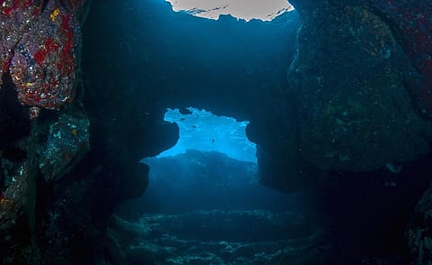 Representative photo. Photo: iStock