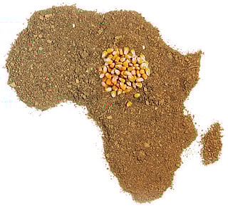 Seed money: Corporations attempt to take over Africa’s seed economy