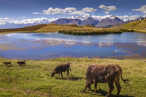 A farmer & a melting glacier: Why German judges are on a trip to Peru