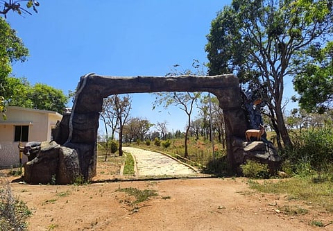The entrance to the biodiversity park in Sirumalai Hills, Tamil Nadu. Photo: V Sundararaju