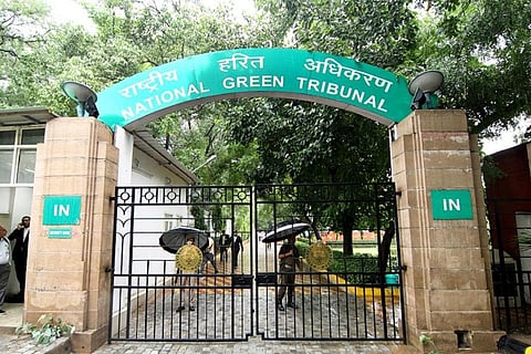 पर्यावरण मुकदमों की डायरी: सीपीसीबी ने पोल्ट्री फार्म के लिए तैयार किए हैं पर्यावरणीय मानदंड