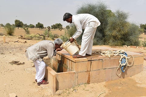 Photo : बेरी में जल संचय