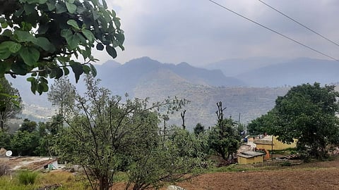 Photo : Varsha singh
