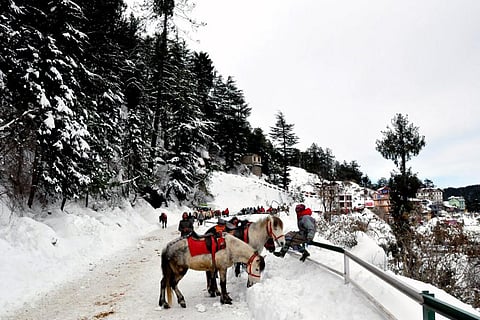 बढ़ते पर्यटन के चलते हिमालयी इकोसिस्टम पर बढ़ रहा है दबाव: रिपोर्ट