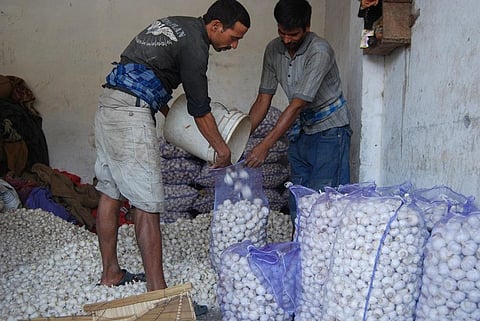 फोटो: सीएसई