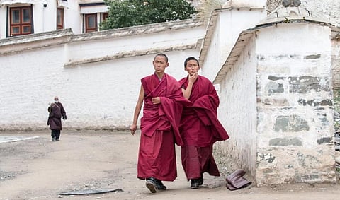 Celibacy: its surprising evolutionary advantages – new research