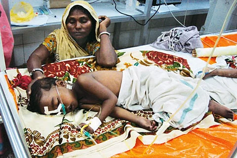 उत्तर प्रदेश में जापानी बुखार के मामलों में दर्ज की गई उल्लेखनीय गिरावट: समिति रिपोर्ट