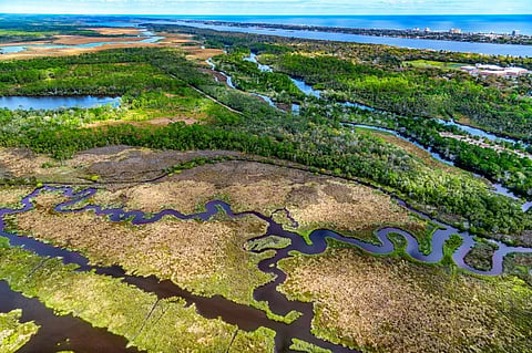 Sea-level rise: 6 states in US may lose 83% coastal marshes