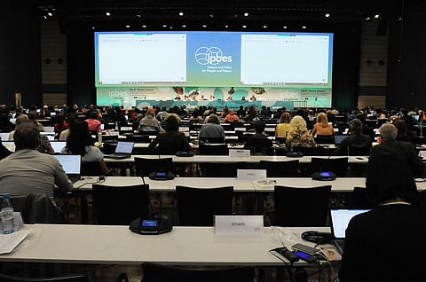 Bonn biodoversity summit: Time to reimagine conservation to ensure sustainable use of wild species, say environmentalists