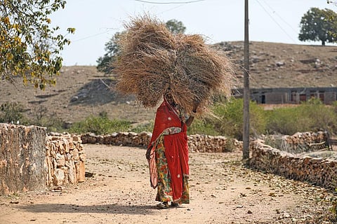 उदयपुर के तिरोल गांव में विकसित किए गए चारागाह से ग्रामीणों की साल भर की चारे की जरूरतें पूरी हो रही हैं। ग्रामीणों को अब चारा नहीं खरीदना पड़ता (फोटो: विकास चौधरी)