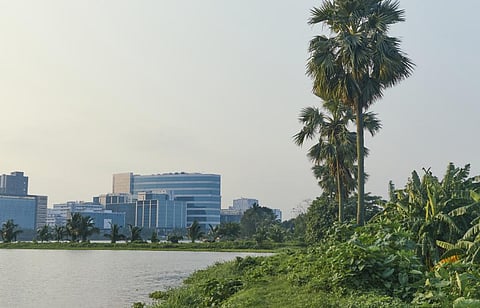 Creating foraging-friendly cities can strengthen people-biodiversity connections