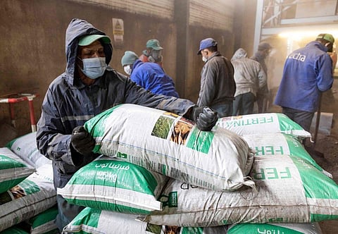 Workers fill bags with fertiliser in Morocco’s northern city of Meknes. Photo by Fadel Senna/AFP via Getty Images