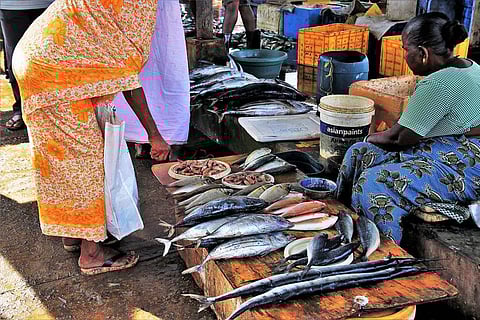 रेफ्रिजेरेटेड या फ्रोजन मीट में एक महीने तक जीवित रह सकता है सार्स-कोव-2 वायरस, शोध में हुआ खुलासा