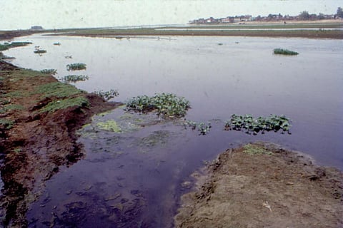 पैसे की बर्बादी और गंगा में बढ़ते प्रदूषण को रोकने में विफल रहने पर एनजीटी ने अधिकारियों को लगाई फटकार