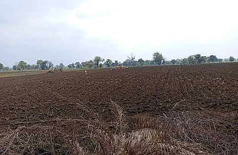 Scanty rain in India’s largest state; kharif sowing hit in eastern UP