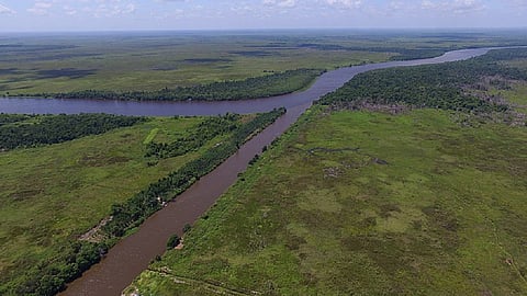 Sustainable Development Goal 15: World off track on protecting life on land, finds UN report