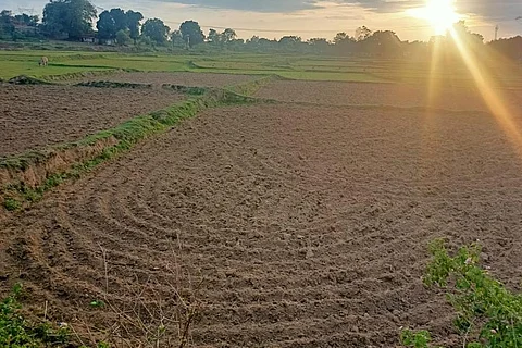 झारखंडः खाली पड़े हैं 17 लाख हेक्टेयर खेत, धान की बुआई तक नहीं