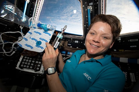 NASA astronaut Anne McClain (File photo: NASA)