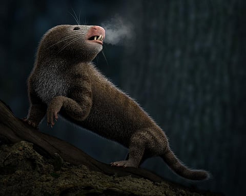 Mystery solved: When mammals’ ancestors became warm-blooded