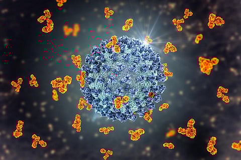 Centaurus: What we know about the new COVID variant and why there’s no cause for alarm