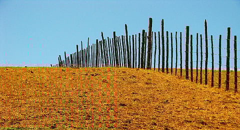 Megadrought in Chile: Both natural climate factors, human-induced global warming to blame