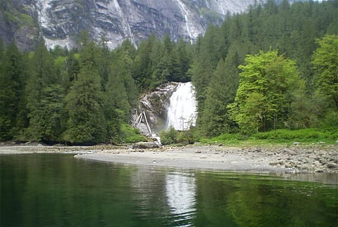 दुनिया में पारिस्थितिकी तंत्र की बहाली की क्षमता में आई भारी गिरावट: शोध