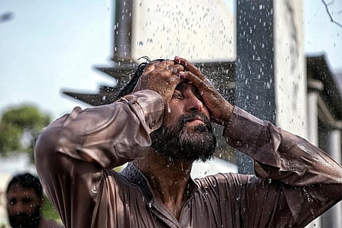 फोटो: साइंटिफिक अमेरिकन