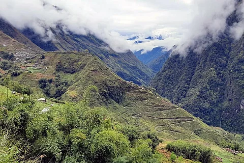 अरुणाचल प्रदेश में जंगल और जलाशयों की नियमित निगरानी करे समिति: एनजीटी