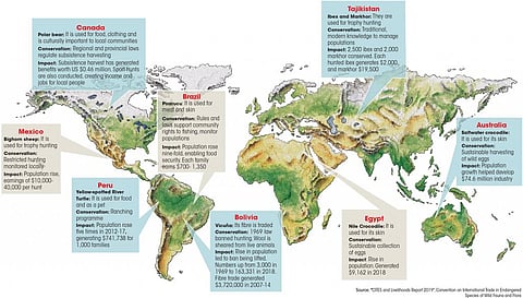 Source: "CITES and Livelihoods Report 2019", Convention on International Trade in Endangered
Species of Wild Fauna and Flora